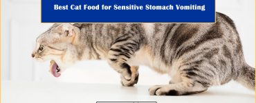Cat Food for Sensitive Stomach Vomiting