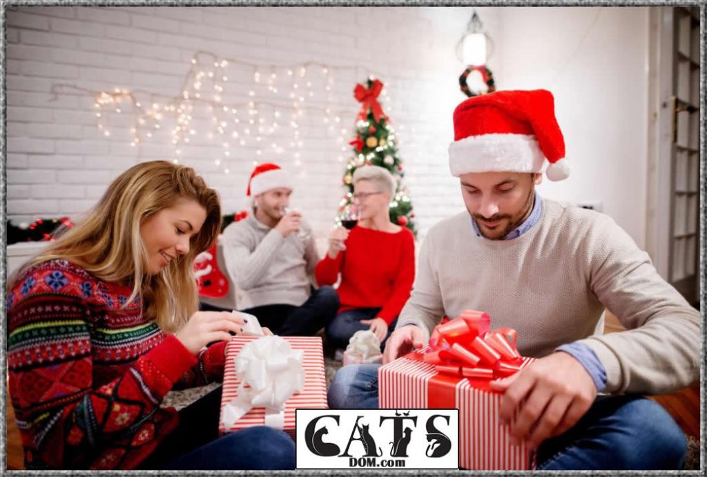 Best Christmas Gifts For Cat Lovers To Buy [2021]