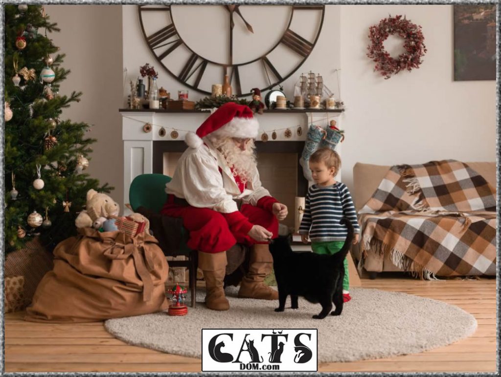 Best Christmas Gifts For Cat Lovers To Buy [2021]