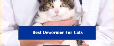 Best Dewormer For Cats
