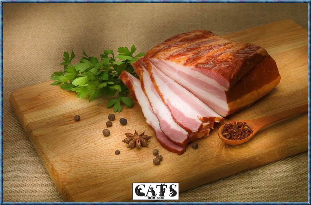 Can Cats Eat Ham7