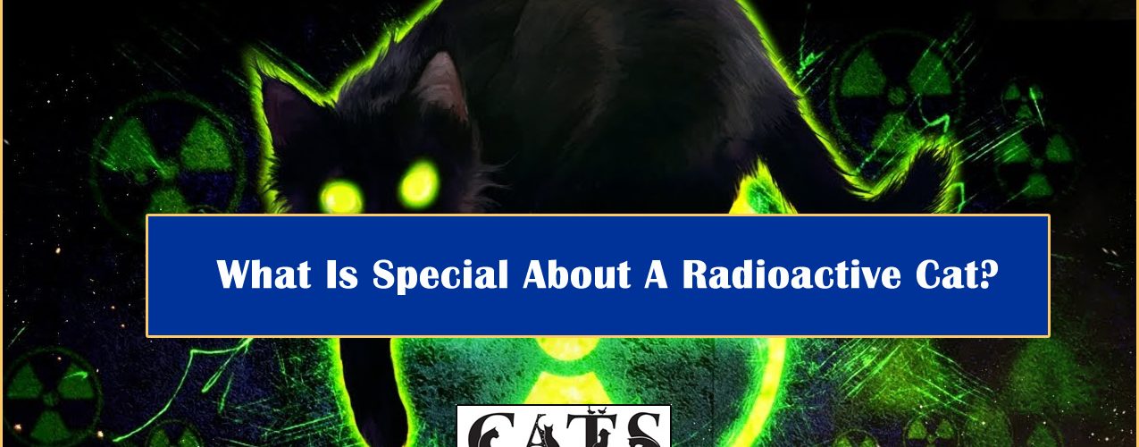 Radioactive Cat