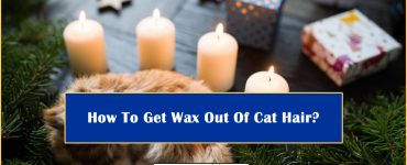 Wax Out Of Cat Hair