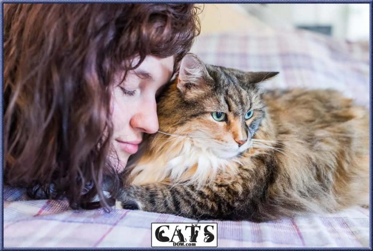 Why Is My Cat So Clingy? [2024]