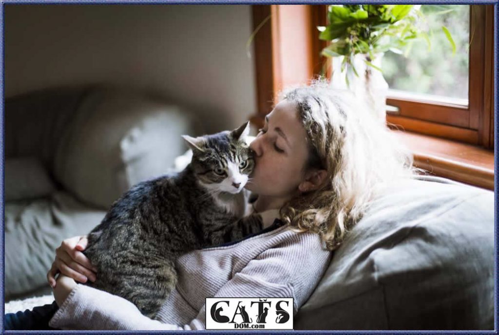 Why Is My Cat So Clingy? [2024]