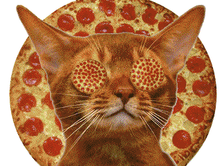 cat eating pizza2