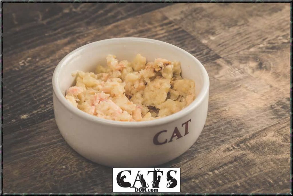 How Long Can Wet Cat Food Sit Out? [1 Hour Max]