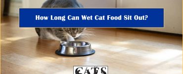 how long wet cat food sit out