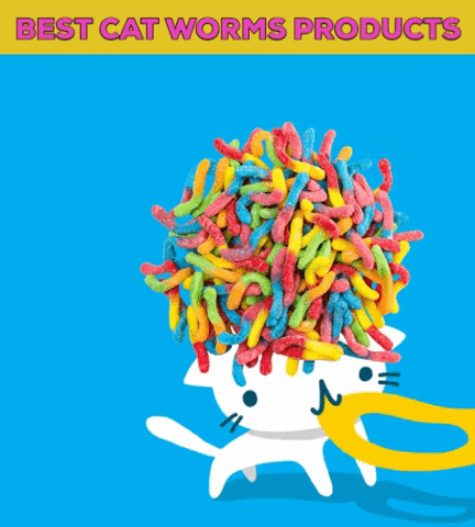 best cat worms products